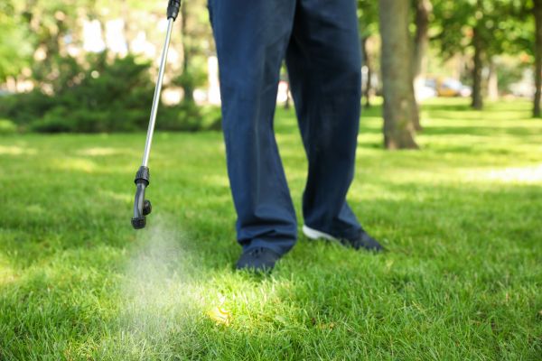Lincoln Lawn Treatment