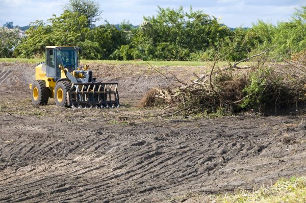 Lincoln Land Clearing