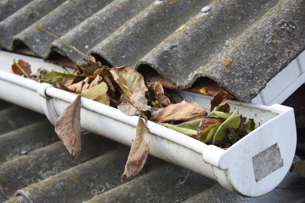 Lincoln Gutter Cleaning